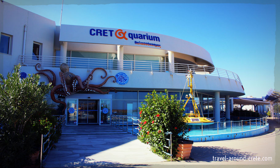 creteaquarium, museum crete, gournes, gouves, heraklion, to do in crete, rainy day program, Regenprogramm, Aquarium Kreta, Museum Kreta, was machen auf Kreta,