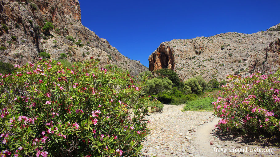 agio farango, agiofarango, agio faranggo, agiou farangou, canyon, crete, hiking crete, climbing crete, holidays crete, heraklion, chania, rethimnon, kalamaki, kamilari, listaros, mires, lentas, timbaki, agia galini, klettern, tauchen, kreta, schlucht,