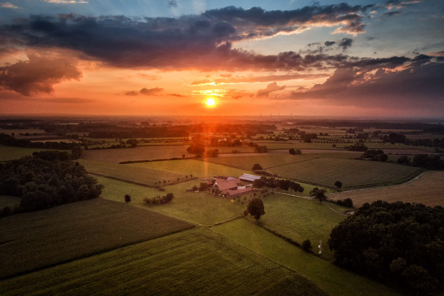 Münsterland