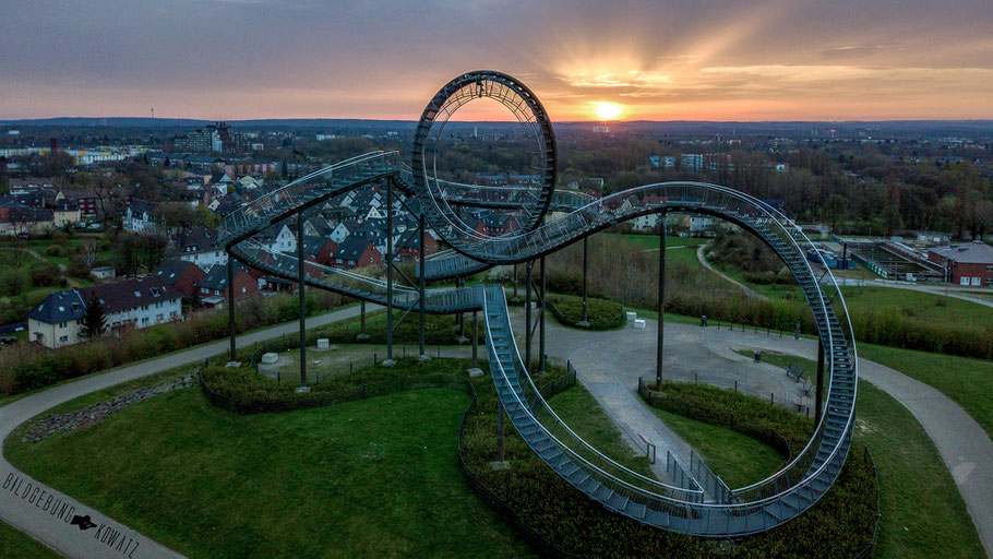 Tiger and Turtle