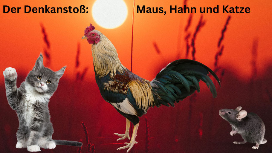 Foto(s): canva.com / Gert Holle