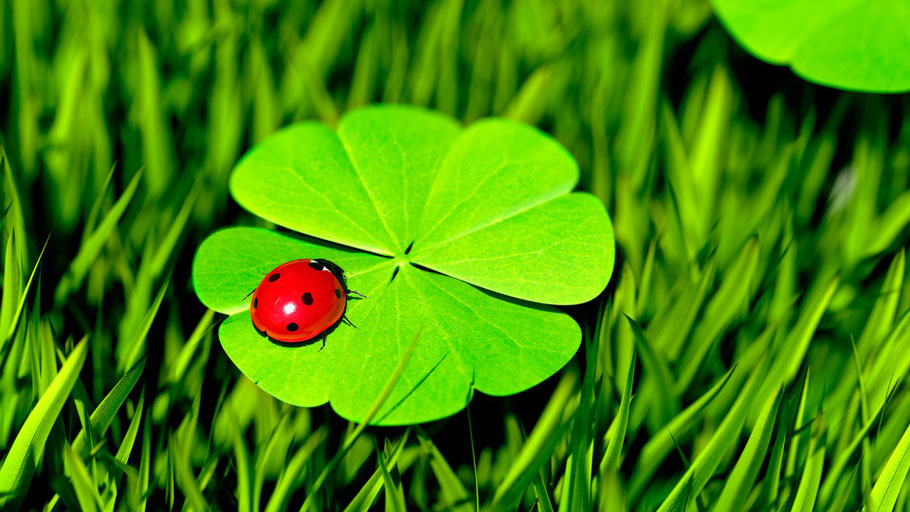 Foto: canva.com