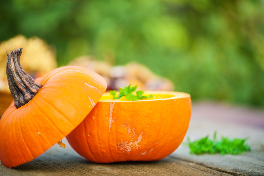 Ab ins Glas! Gartenmagazin