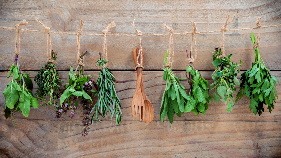 Thymian, Salbei, Oregano, Petersilie