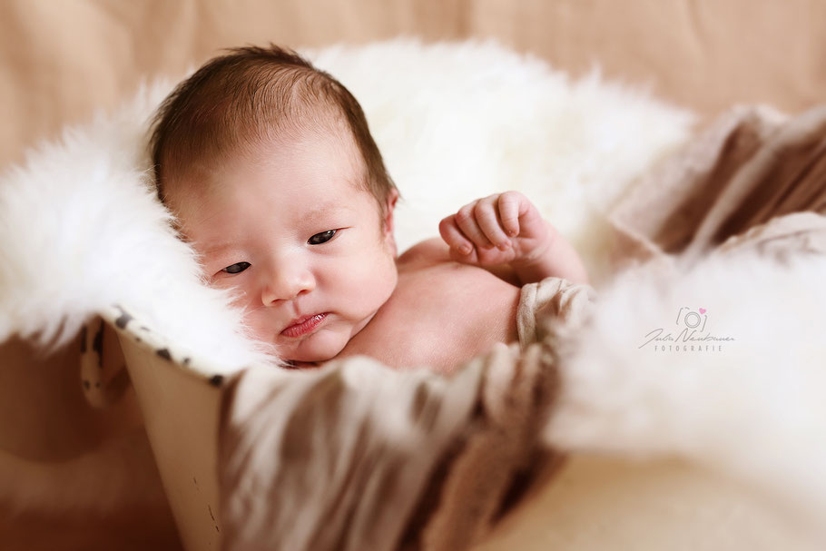 Baby, Newborn, Julia Neubauer Fotografie