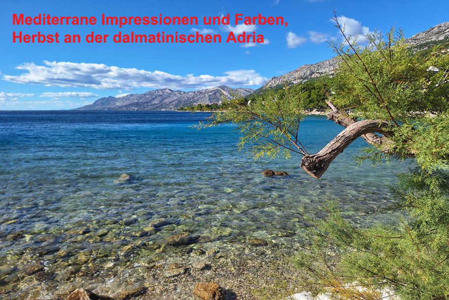 © MAG Lifestyle- & Reisemagazin