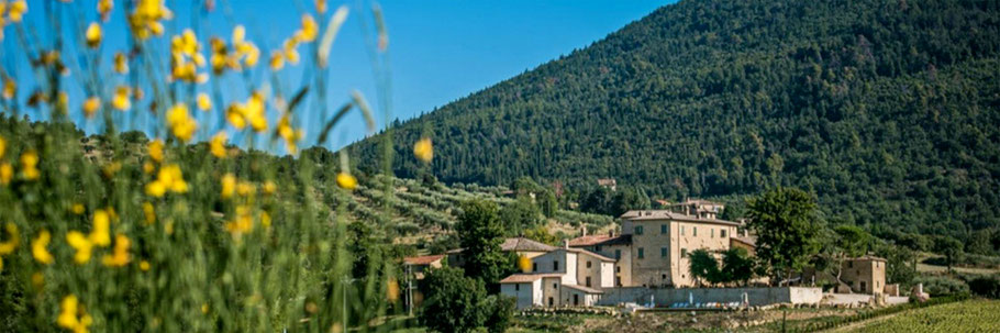 Das mittelalterliche Dorf Borgo Colognola in Umbrien, Urlaub in magischer Atmosphäre