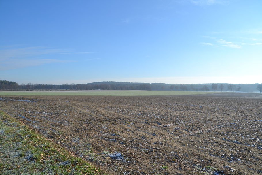 Am Horizont nicht weit von uns der Blaue Berg
