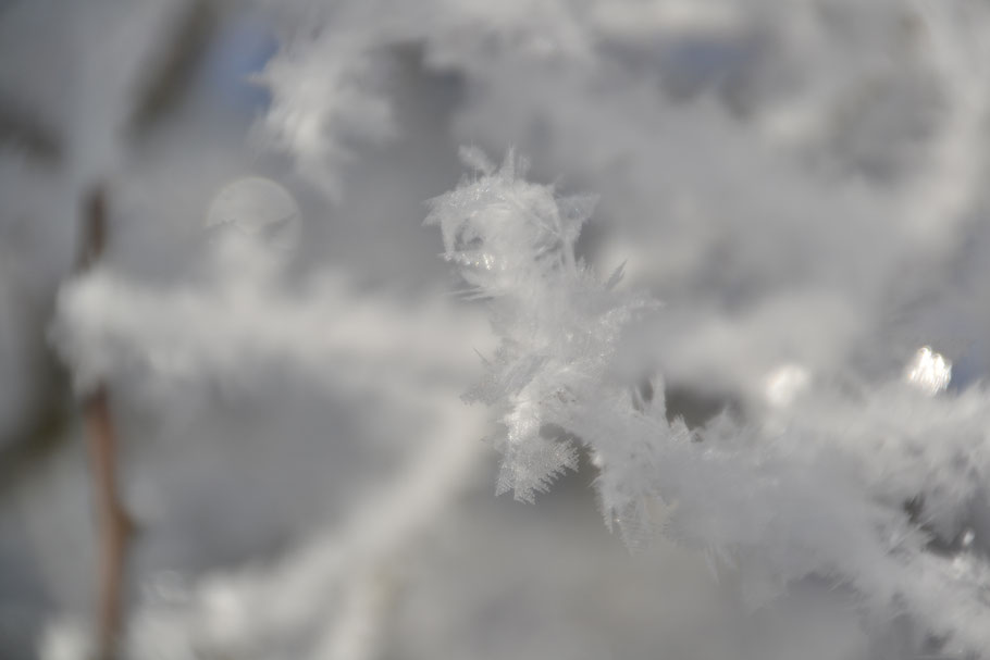 Drei Tage Wintermärchen und die Welt verzaubert. Ein poetisches Zufallsbild lässt tiefer blicken: Mond und Fledermaus, ein Stecken in festen Händen und ein märchenhaftes Wesen aus Eis.