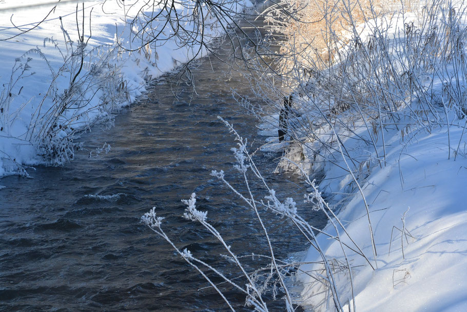 Die Hardau im letzten Winter