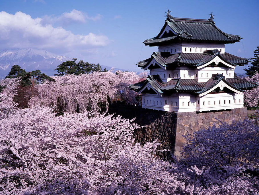 Il castello di Hirosaki (1611), uno dei luoghi più suggestivi in cui ammirare la fioritura