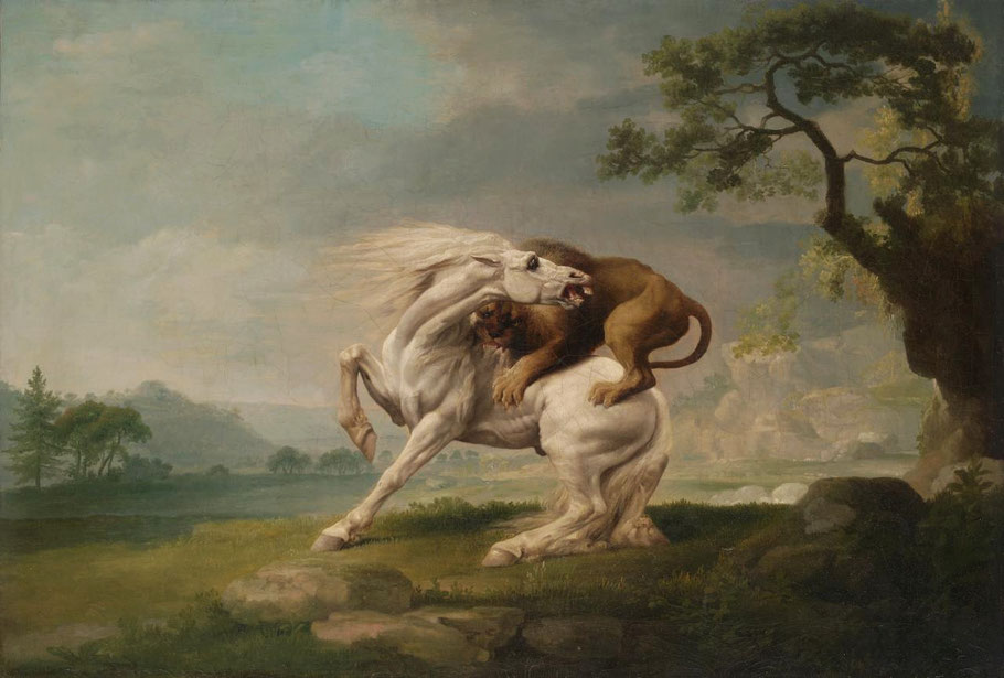 G. Stubbs, "Un leone attacca un cavallo"