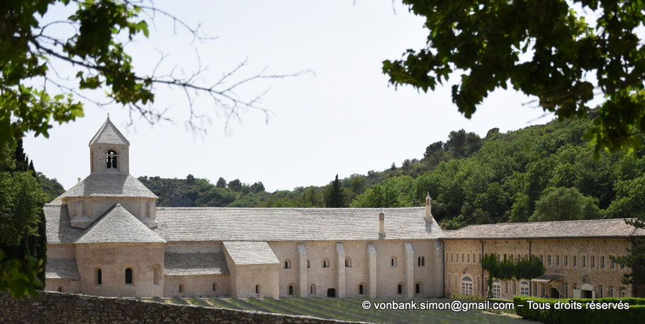 84 - Sénanque : L'abbaye et son champ de lavandin fleuri (vue prise depuis le Nord) - Provence