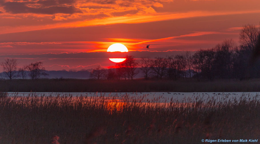 Sonnenuntergang am Spyker See