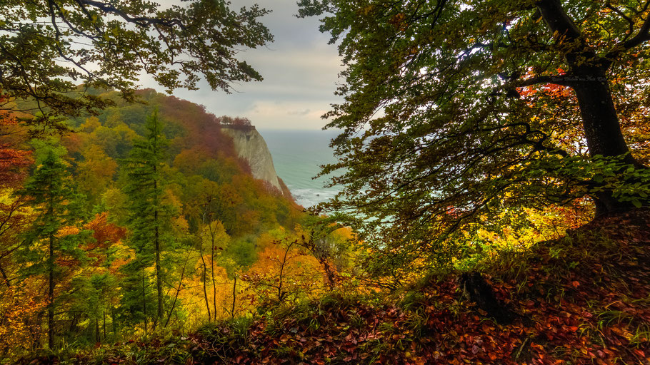 Königsstuhl im Herbst