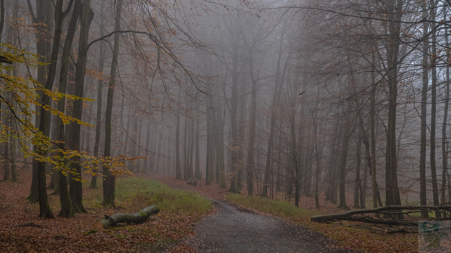 Nationalpark Jasmund