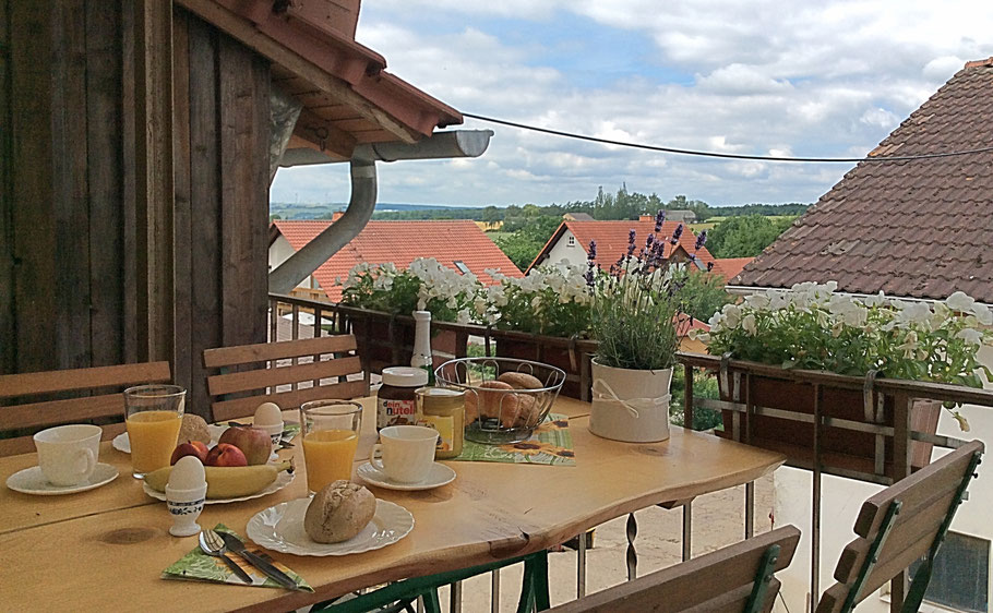 Direkter Blick auf den Reinhardswald, den Naturpark im Landkreis Kassel