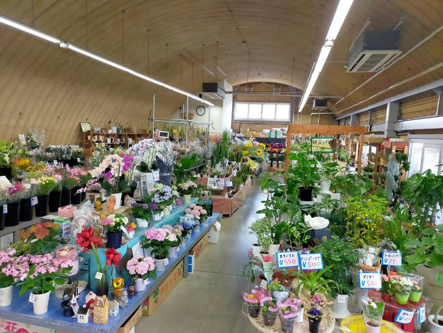 トリアス久山支店 - 久山植木株式会社