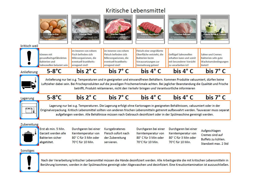 gratis Aushang Umgang mit kritischen Lebensmitteln