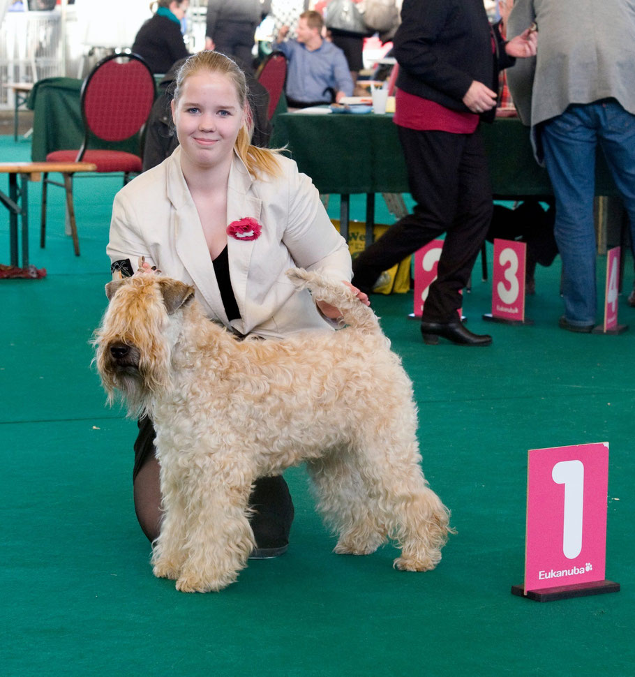 King Arthur de Morrigan met Machteld op de Winner in Amsterdam 2013.