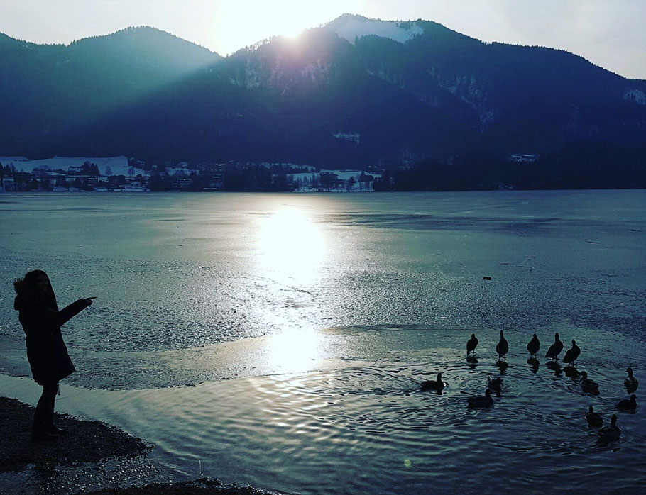 Ententanz am winterlichen Fuschlsee