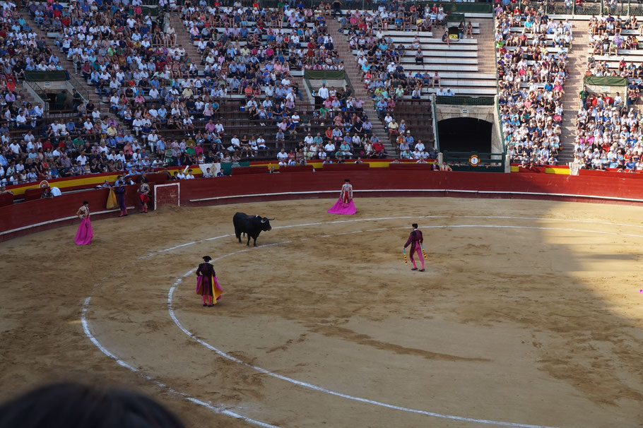 Stierkampf in der Plaza de Toros de Valencia