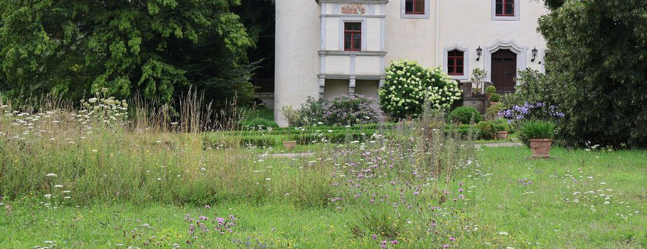 Schloss Heynitz mit Blühwiesen 2025, Foto: EvW