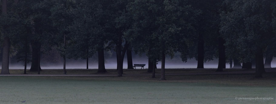 "morgendunst" (bürgerpark bremen)