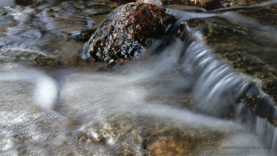 "im fluss" (rhododendron-park bremen)