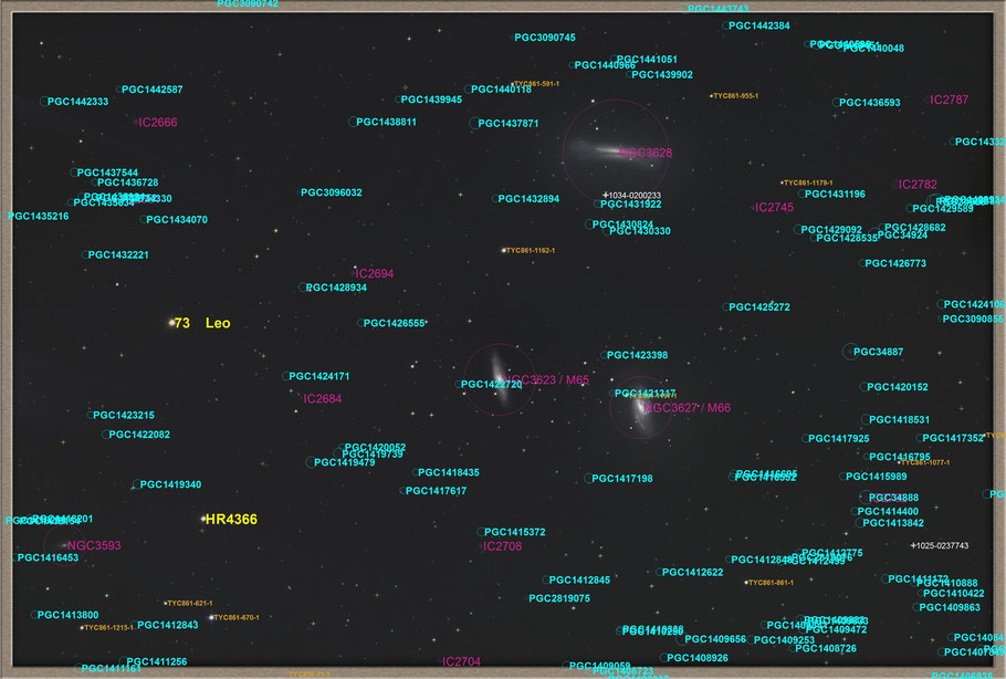 Leo Triplet - NGC 3628, M 66, NGC 3627, M 65, NGC 3623 +The star 73Leo - Objectidentification • MeixnerObservatorium