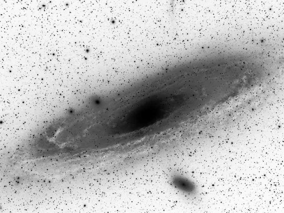 Messier 31 - Andromedagalaxie  inverted image • NGC 224 • UGC 454 • PGC 2557 • CGCG 535-17 • MCG +7-2-16 • IRAS 00400+4059 • 2MASX J00424433+4116074 • GC 116 • h 50 • Bode 3 • Flamsteed 58 • Hevelius 32 • Ha 3.3 • IRC +40013 MeixnerObservatorium