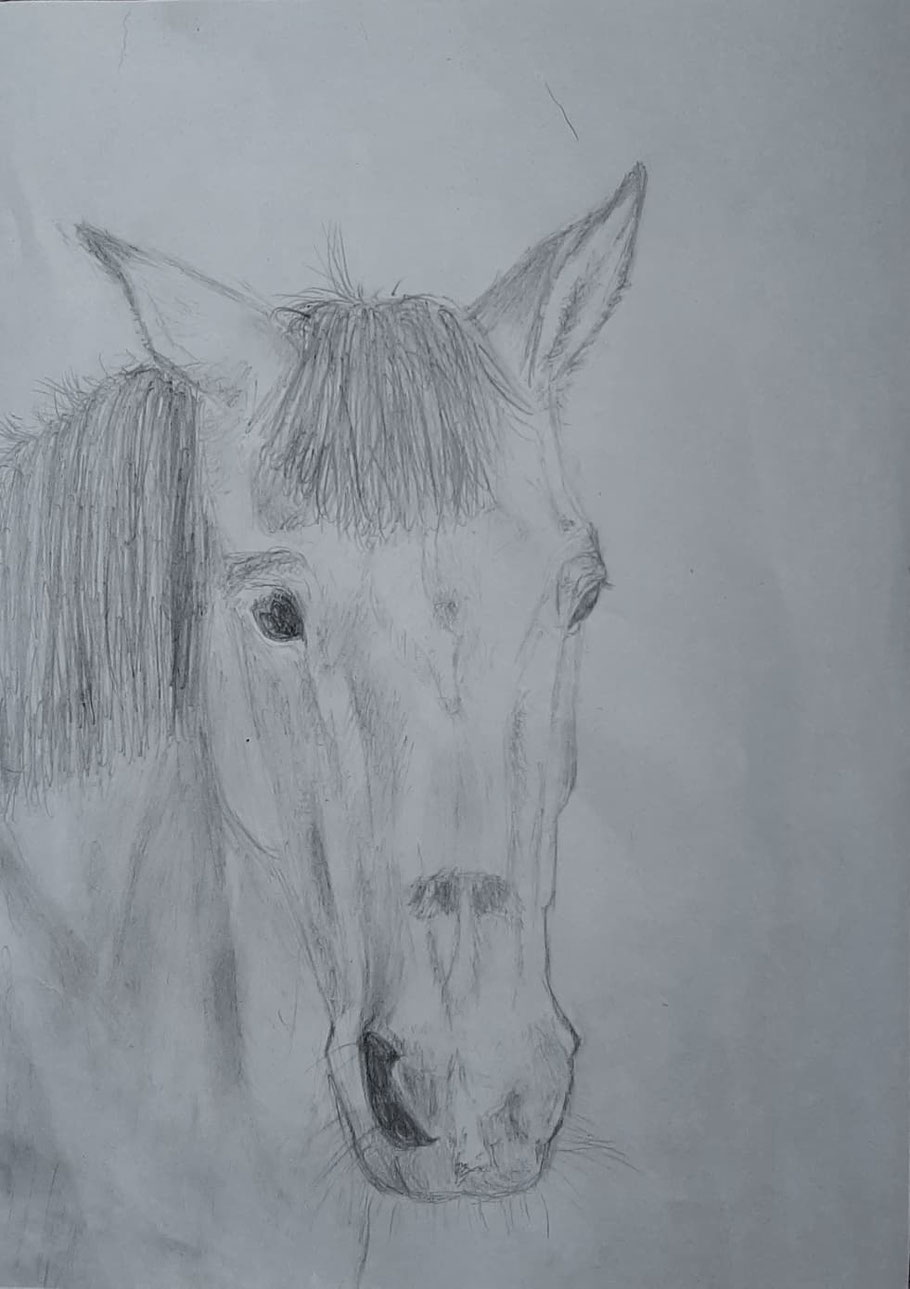 Julia getekend door kunstenares Ief Eijsbouts