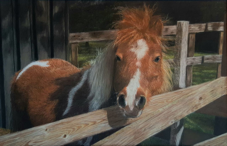 Dusty getekend door kunstenares Ief Eijsbouts