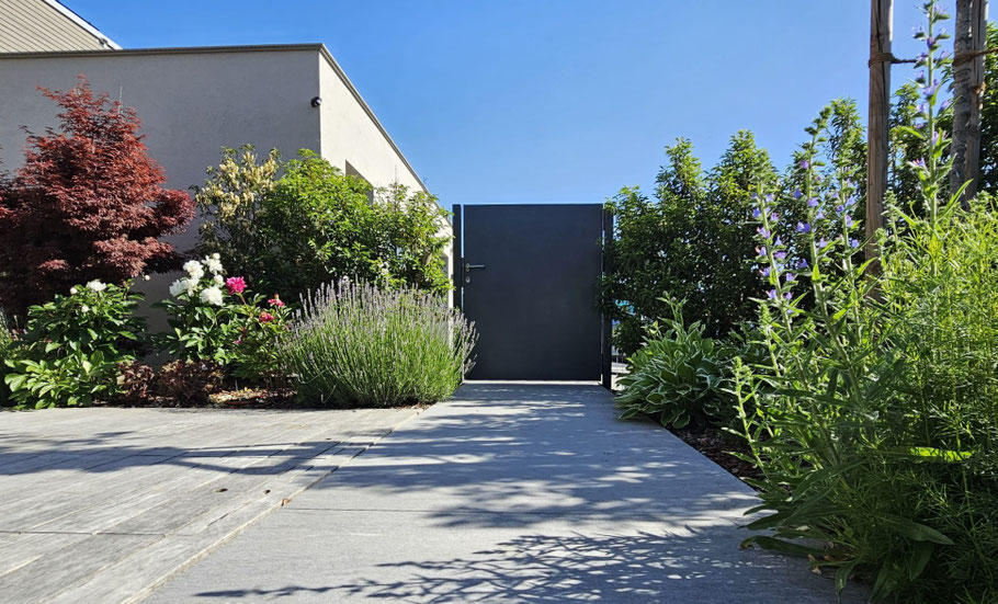 Gartenunterhalt_Pflanzen_Siebnen