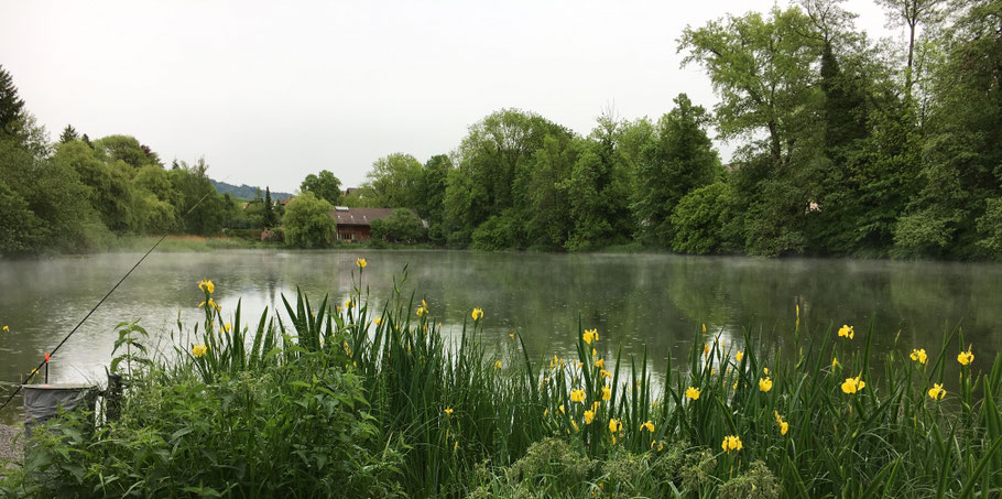 Für den Egelsee als Naturoase - IG-Egelsee