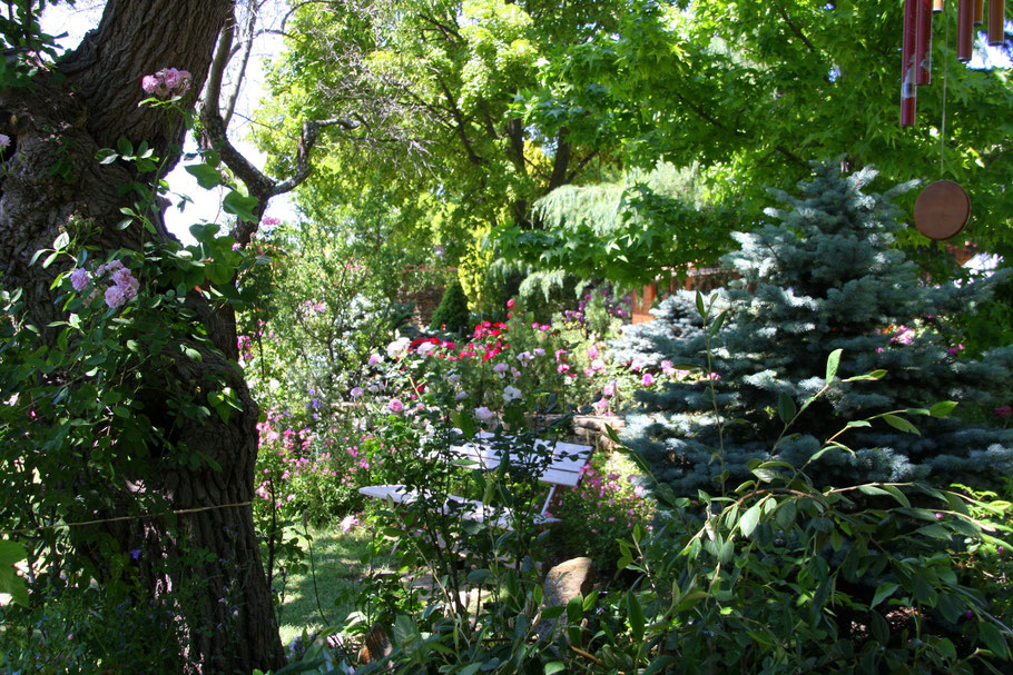 Bild: Jardin de l´Abbaye de Valsaintes, Simiane-la-Rotonde