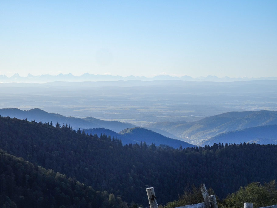 Bild: Fernsicht bis zu den die Schweizer Alpengipfeln!