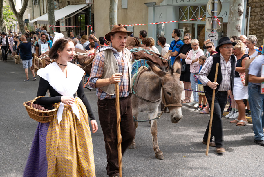 Bild: St.-Rémy-de-Provence, Féte de la Transhumance 