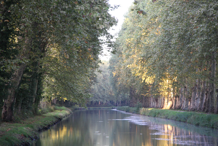 Hausboot-Tour auf dem Canal de Montech, Canal Latéral à la Garonne und Petite Baise 