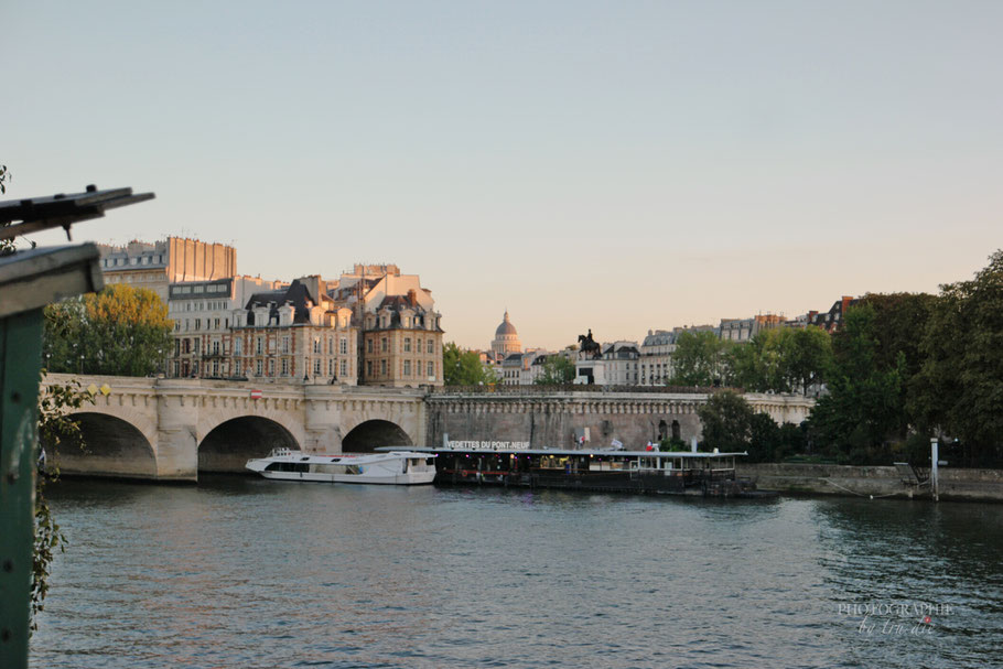 Bild: Pont Neuf in Paris 