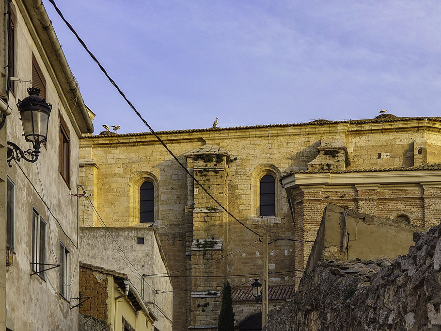 Bild: Iglesia de Santa Eulalia in Torquemada mit etlichen Störchen auf dem Dach 