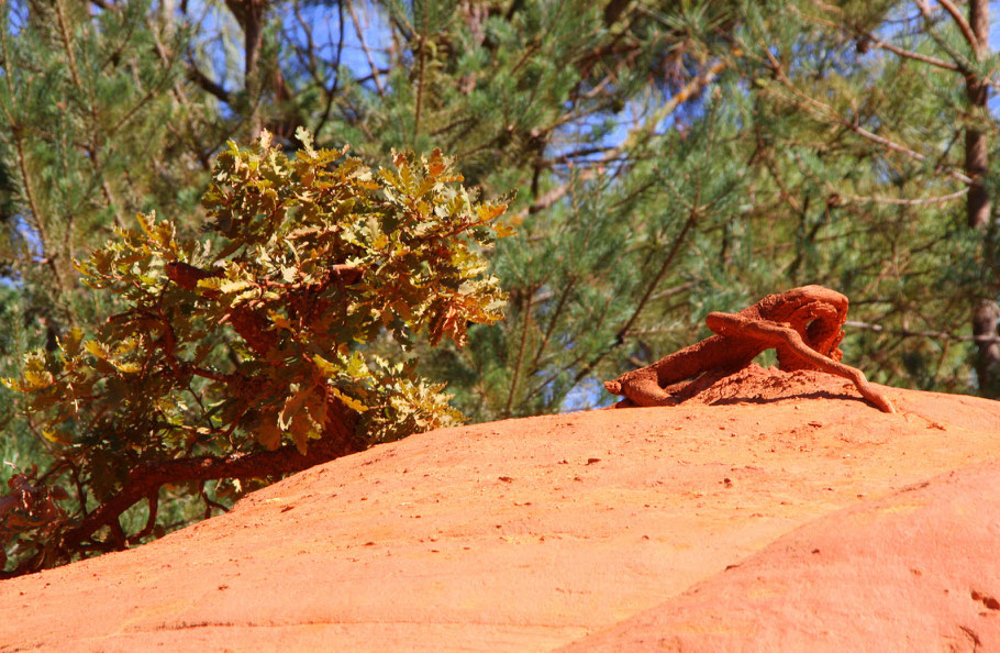 Bild: Le Colorade Provencal de Rustrel"