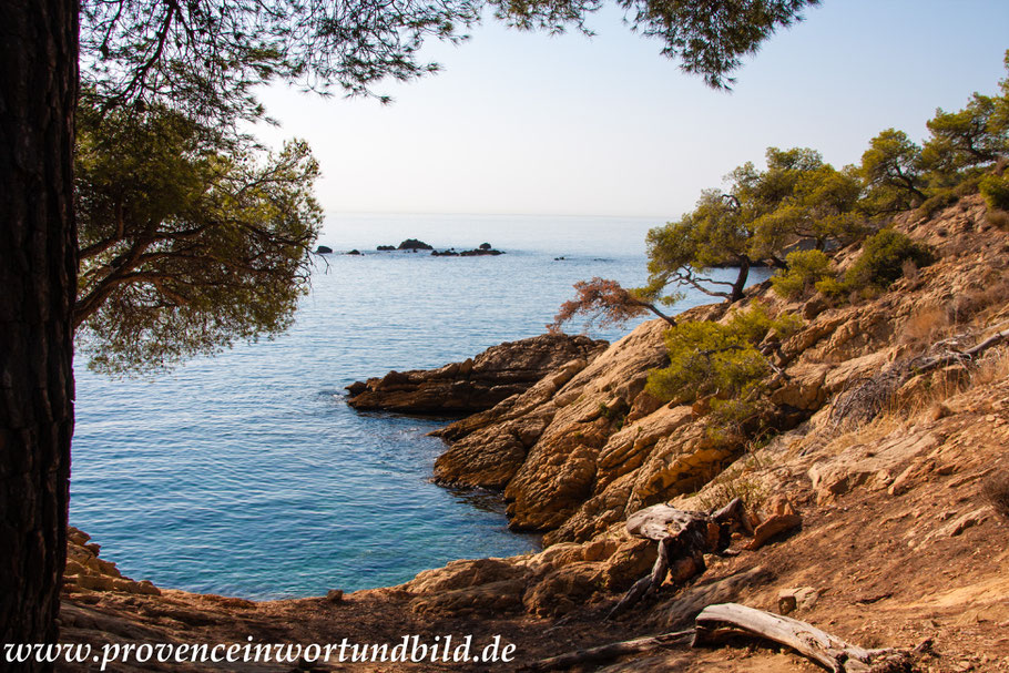 Bild: Wanderung an der Côte Bleue 