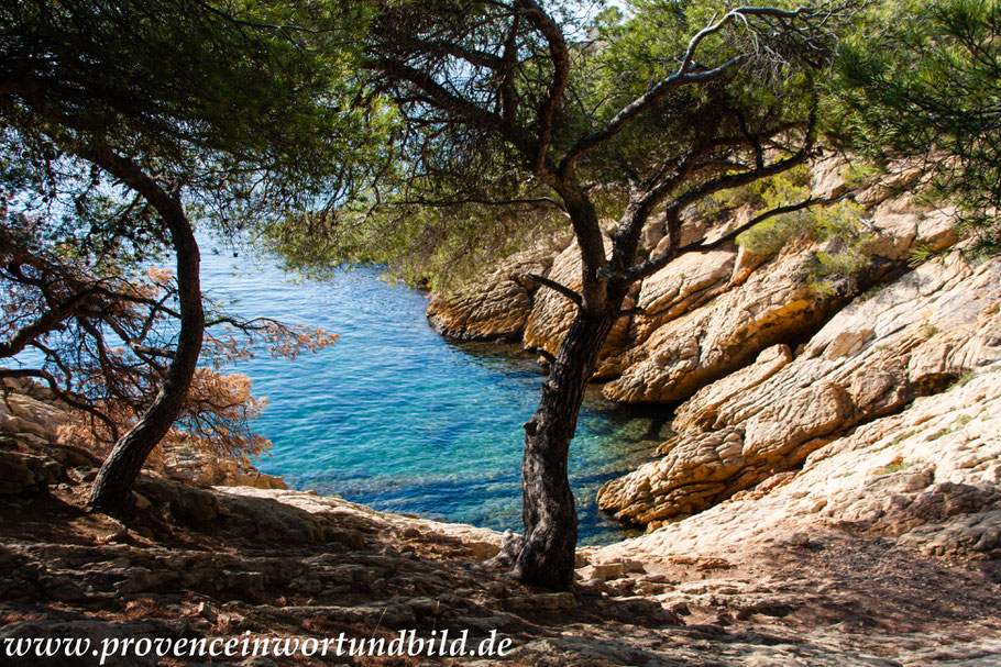 Bild: Wanderung an der Côte Bleue 