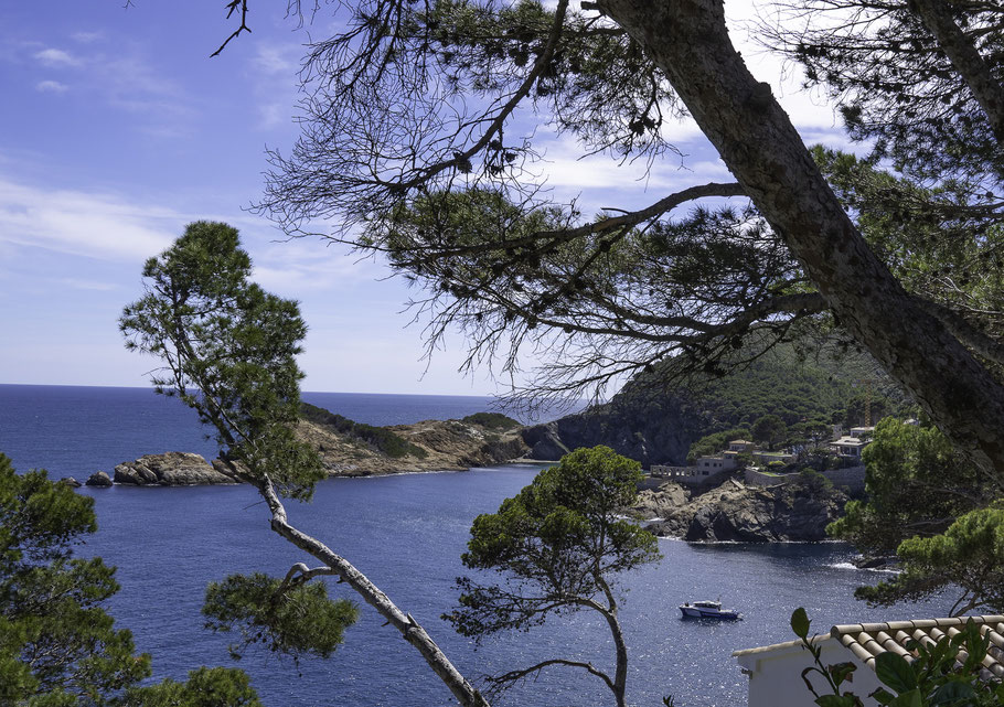 Bild: Blick vom Parkplatz beim Cap Sa Sal auf die Cala Aiguafreda