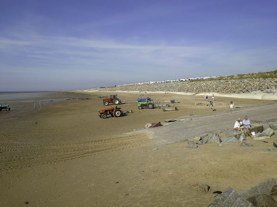 Bild: Trecker der Austernzüchter am Strand in Gouville-sur-Mer