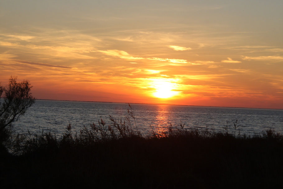 Bild: Am Étang de Vaccarès, Camargues