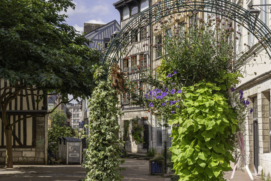 Bild: Blumenschmuck in der Rue Eau de Robec in Rouen