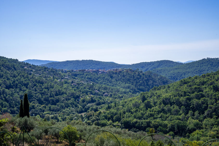 Bild: Bargemon im Var