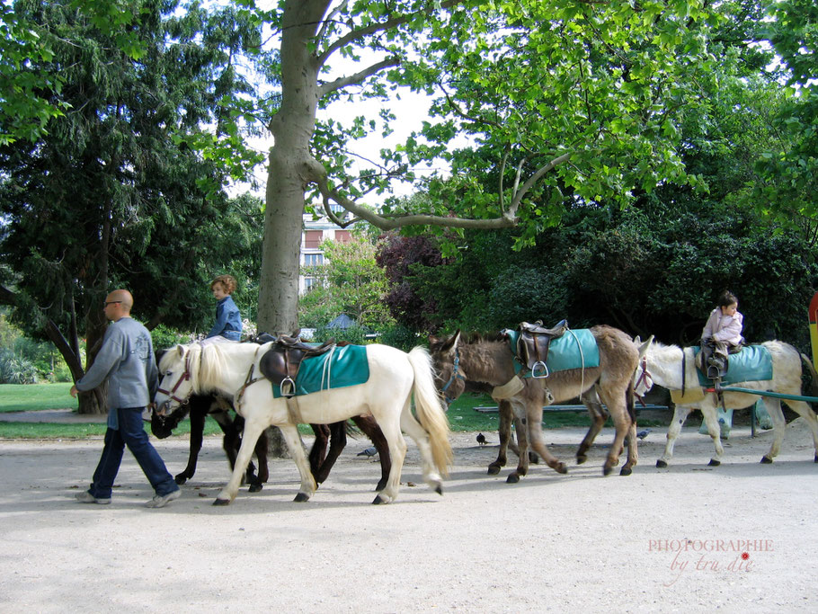 Bild: Champ de Mars, Paris 